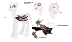 Size: 5480x3224 | Tagged: safe, artist:mr100dragon100, bat, bat pony, pony, vampire, female, male, nosferatu, reference sheet