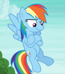 Size: 828x939 | Tagged: safe, screencap, rainbow dash, pegasus, pony, g4, non-compete clause, cropped, crossed hooves, female, flying, mare, raised eyebrow, smiling, smirk