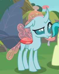 Size: 439x550 | Tagged: safe, screencap, ocellus, changedling, changeling, g4, non-compete clause, cropped, female, offscreen character, raised eyebrow, solo, solo focus