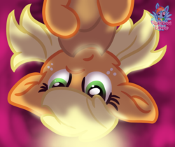 Size: 1140x959 | Tagged: safe, artist:rainbow eevee, applejack, pony, g4, bed, cute, female, looking up, night, solo, upside down