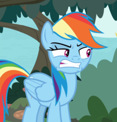 Size: 791x825 | Tagged: safe, screencap, rainbow dash, pegasus, pony, g4, non-compete clause, angry, cropped, female, gritted teeth, mare