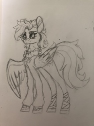 Size: 4032x3024 | Tagged: dead source, safe, artist:grumppanda, oc, oc only, oc:golden daze, pegasus, pony, bomber jacket, clothes, female, jacket, mare, monochrome, pencil drawing, solo, traditional art