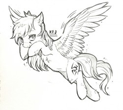 Size: 1280x1144 | Tagged: safe, artist:swaybat, oc, oc only, oc:kej, pegasus, pony, chest fluff, cute, ear fluff, hooves up, leg fluff, lineart, looking at you, male, monochrome, pencil drawing, simple background, sketch, solo, spread wings, stallion, traditional art, white background, wings