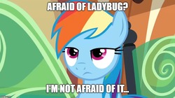 Size: 888x499 | Tagged: safe, edit, edited screencap, screencap, rainbow dash, ladybug, pegasus, pony, g4, interseason shorts, starlight the hypnotist, the lost treasure of griffonstone, caption, female, image macro, imgflip, impact font, lidded eyes, mare, meme, solo, text