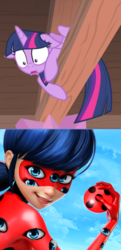 Size: 501x1039 | Tagged: safe, edit, screencap, twilight sparkle, alicorn, human, ladybug, pony, g4, interseason shorts, starlight the hypnotist, 1000 years in photoshop, body horror, eyes do not belong there, female, ladybug (miraculous ladybug), mare, marinette dupain-cheng, miraculous ladybug, trypophobia, twilight hates ladybugs, twilight is afraid of miraculous ladybug, twilight sparkle (alicorn)