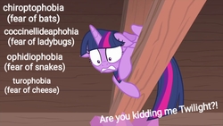 Size: 1280x720 | Tagged: safe, edit, edited screencap, screencap, twilight sparkle, alicorn, pony, g4, interseason shorts, starlight the hypnotist, chiroptophobia, coccinellidaephobia, discussion in the comments, exclamation point, fear, female, floppy ears, interrobang, ophidiophobia, princess of phobias, question mark, solo, text, text edit, they're just so cheesy, turophobia, twilight hates ladybugs, twilight sparkle (alicorn)