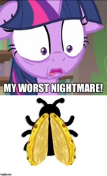 Size: 500x817 | Tagged: safe, edit, edited screencap, screencap, twilight sparkle, alicorn, ladybug, pony, g4, interseason shorts, starlight the hypnotist, caption, comic, fear, female, floppy ears, food, image macro, imgflip, impact font, meme, pure unfiltered evil, quesadilla, solo, text, they're just so cheesy, twilight hates ladybugs, twilight sparkle (alicorn), what has science done