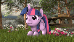 Size: 533x300 | Tagged: safe, artist:apexpredator923, twilight sparkle, alicorn, pony, 3d, animated, behaving like a cat, blinking, cute, female, picnic, picnic table, solo, source filmmaker, table, tail, tail wag, twiabetes, twilight sparkle (alicorn), wiggle