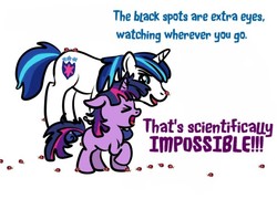 Size: 712x512 | Tagged: safe, artist:kuromi, edit, shining armor, twilight sparkle, ladybug, pony, g4, starlight the hypnotist, spoiler:interseason shorts, bbbff, brother and sister, brothers gonna brother, female, filly, filly twilight sparkle, ladybugs, male, siblings, teasing, teenager, twilight hates ladybugs, we never had one single fight, younger