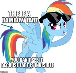 Size: 521x500 | Tagged: safe, rainbow dash, pony, g4, caption, female, image macro, implied farting, meme, op isn't even trying anymore, shitposting, solo, sunglasses, text
