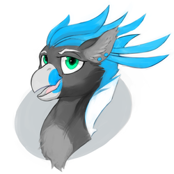 Size: 1280x1280 | Tagged: safe, artist:halley-valentine, oc, oc only, oc:turntable, hippogriff, bust, colored, colored sketch, ear piercing, earring, feather, fluffy, jewelry, male, piercing, simple background, sketch, smiling, solo