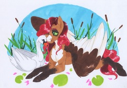 Size: 3159x2182 | Tagged: safe, artist:frozensoulpony, oc, oc only, oc:sage leaf, pegasus, pony, swan, high res, male, offspring, parent:fluttershy, parent:trouble shoes, parents:troubleshy, prone, stallion, traditional art