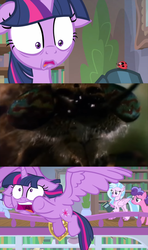 Size: 1280x2160 | Tagged: safe, screencap, berry bliss, november rain, silverstream, twilight sparkle, alicorn, earth pony, hippogriff, ladybug, pony, g4, interseason shorts, starlight the hypnotist, book, bookshelf, close-up, coccinellidaephobia, deer fly, exploitable meme, faic, female, floppy ears, flying away, friendship student, library, meme, scared, spongebob squarepants, twilight hates ladybugs, twilight sparkle (alicorn), wormy