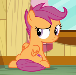 Size: 603x596 | Tagged: safe, screencap, scootaloo, pegasus, pony, g4, marks for effort, cropped, cutie mark, female, filly, looking back, raised eyebrow, scootasad, sitting, solo, the cmc's cutie marks, wings