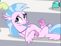 Size: 771x590 | Tagged: safe, screencap, silverstream, classical hippogriff, hippogriff, a matter of principals, g4, cropped, female, lying down, on back, raised eyebrow, solo focus, sweat, tired