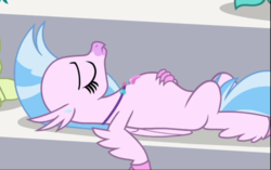 Size: 833x522 | Tagged: safe, screencap, silverstream, classical hippogriff, hippogriff, a matter of principals, g4, cropped, cute, diastreamies, female, lying down, on back, tired