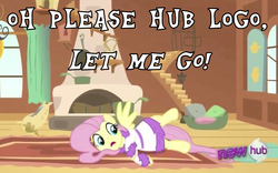 Size: 1018x634 | Tagged: safe, edit, edited screencap, screencap, fluttershy, pegasus, pony, g4, hurricane fluttershy, season 2, bathrobe, caption, clothes, dialogue, female, fluttershy's cottage, hub logo, image macro, mare, meme, robe, television logo joke, text