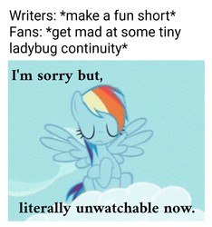 Size: 1069x1140 | Tagged: safe, edit, edited screencap, editor:apex soundwave, screencap, rainbow dash, pegasus, pony, g4, interseason shorts, starlight the hypnotist, caption, cloud, female, i'm sorry, image macro, literally, mare, solo, text