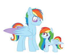 Size: 5512x4336 | Tagged: safe, artist:dashblitzfan4ever, rainbow dash, oc, pegasus, pony, g4, absurd resolution, age difference, alternate universe, blushing, ear piercing, female, filly, folded wings, looking at each other, male, piercing, rule 63, scar, self ponidox, simple background, size difference, stallion, transparent background, two toned wings, wings, younger