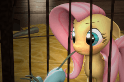 Size: 720x479 | Tagged: safe, artist:fishimira, fluttershy, rainbow dash, pegasus, pony, g4, 3d, :3, animated, behaving like a rabbit, blushing, cage, cute, eating, eyes on the prize, feeding, female, floppy ears, flutterpet, hay, herbivore, hoof hold, horses doing horse things, loop, mare, nom, perfect loop, pony pet, shyabetes, smiling, solo focus, source filmmaker, underhoof