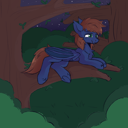 Size: 1000x1000 | Tagged: safe, artist:vert_glamis, oc, oc only, oc:warly, bat pony, pony, bat pony oc, bat wings, chest fluff, fangs, forest, male, night, solo, stallion, tree, tree branch, wings