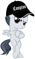 Size: 455x768 | Tagged: safe, artist:frownfactory, artist:jawsandgumballfan24, edit, vector edit, rumble, pegasus, pony, g4, bipedal, colt, compton, foal, hat, male, simple background, solo, straight outta compton, transparent background, vector
