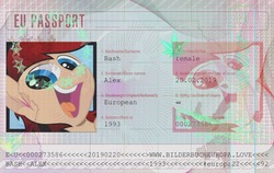 Size: 1712x1080 | Tagged: safe, artist:alexskleinewelt, oc, oc only, oc:alex bash, pony, eu, europe, passport, solo