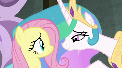 Size: 1280x720 | Tagged: safe, screencap, fluttershy, princess celestia, alicorn, pegasus, pony, g4, horse play, my little pony: friendship is magic, cute, duo, duo female, female, looking at each other, out of context, tonight you