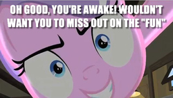 Size: 635x358 | Tagged: safe, edit, edited screencap, screencap, diamond tiara, pony, g4, ponyville confidential, caption, close-up, female, image macro, looking at you, offscreen character, pov, solo, text