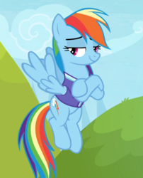 Size: 758x936 | Tagged: safe, screencap, rainbow dash, pegasus, pony, the end in friend, clothes, cropped, crossed hooves, female, flying, jersey, lidded eyes, mare, smiling, smirk, smug, spread wings, wings