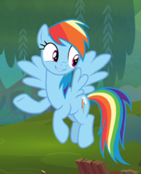 Size: 511x629 | Tagged: safe, screencap, rainbow dash, pegasus, pony, g4, the end in friend, cropped, cute, female, flying, smiling, solo