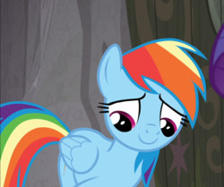 Size: 1092x912 | Tagged: safe, screencap, rainbow dash, pegasus, pony, g4, the end in friend, cropped, embarrassed, female, solo