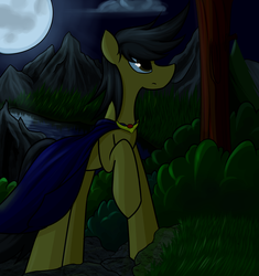 Size: 5150x5482 | Tagged: safe, artist:ruiont, oc, oc only, earth pony, pony, absurd resolution, cloak, clothes, full moon, hooves, male, moon, night, raised hoof, solo, stallion, tree