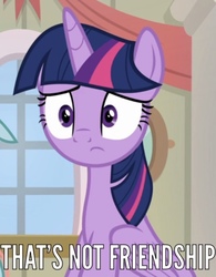 Size: 828x1061 | Tagged: safe, screencap, twilight sparkle, alicorn, pony, g4, the end in friend, caption, female, image macro, meme, reaction image, sitting, solo, text, twilight sparkle (alicorn)