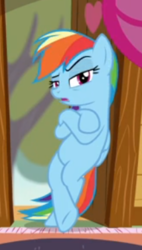 Size: 214x376 | Tagged: safe, screencap, rainbow dash, pegasus, pony, the washouts (episode), bipedal, bipedal leaning, cropped, crossed hooves, female, leaning, lidded eyes, mare, open mouth, raised eyebrow