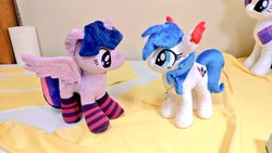 Size: 1024x577 | Tagged: safe, artist:nekokevin, rarity, twilight sparkle, oc, oc:blue flame, alicorn, earth pony, pony, unicorn, g4, 4de, clothes, female, irl, looking at each other, mare, photo, plushie, smiling, socks, spread wings, striped socks, twilight sparkle (alicorn), wings