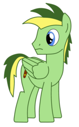 Size: 958x1525 | Tagged: safe, artist:didgereethebrony, oc, oc only, oc:didgeree, pegasus, pony, blue eyes, cutie mark, reupload, simple background, solo, transparent background, updated, updated design