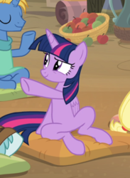 Size: 531x727 | Tagged: safe, screencap, twilight sparkle, alicorn, pony, a rockhoof and a hard place, g4, apple, cropped, female, food, offscreen character, pillow, sitting, smiling, solo focus, twilight sparkle (alicorn)