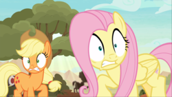 Size: 1666x937 | Tagged: safe, screencap, applejack, fluttershy, earth pony, pegasus, pony, g4, sounds of silence, duo, female, mare, startled, wide eyes