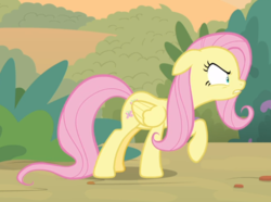 Size: 840x625 | Tagged: safe, screencap, fluttershy, pegasus, pony, g4, sounds of silence, female, floppy ears, frustrated, mare, raised hoof, solo, wide eyes