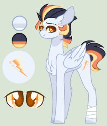 Size: 840x992 | Tagged: safe, artist:nocturnal-moonlight, oc, oc only, oc:spectrum rays, pegasus, pony, male, offspring, parent:soarin', parent:spitfire, parents:soarinfire, reference sheet, simple background, solo, stallion