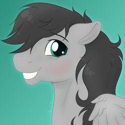 Size: 1600x1600 | Tagged: safe, artist:acry-artwork, oc, oc only, oc:helicity, pegasus, pony, bust, grin, male, portrait, smiling, solo, stallion