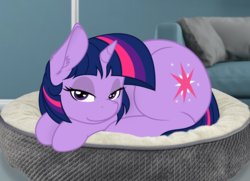 Size: 1893x1369 | Tagged: safe, artist:alcor, artist:slb94, twilight sparkle, pony, unicorn, adorasexy, bed, bedroom eyes, behaving like a cat, cheek fluff, couch, cushion, cute, ear fluff, eyelashes, female, horn, irl, lidded eyes, looking at you, mare, photo, pillow, ponies in real life, prone, smiling, solo, twiabetes, twilight cat, unicorn twilight