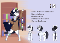 Size: 4300x3036 | Tagged: safe, artist:circle edward, oc, oc:schwarz, pony, unicorn, clothes, glasses, hat, reference sheet, scarf, wizard, wizard hat