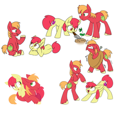Size: 6061x5570 | Tagged: safe, artist:chub-wub, apple bloom, big macintosh, earth pony, pony, g4, absurd resolution, adorabloom, age regression, apple siblings, brother and sister, cute, cutie mark, duo, eye clipping through hair, female, filly, floppy ears, horse collar, macabetes, male, mouth hold, plant, rearing, siblings, stallion, the cmc's cutie marks, unshorn fetlocks