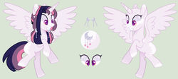 Size: 1280x571 | Tagged: safe, artist:nocturnal-moonlight, oc, oc only, oc:astral moonlight, alicorn, pony, bald, female, magical lesbian spawn, mare, offspring, parent:rainbow dash, parent:twilight sparkle, parents:twidash, reference sheet, simple background, solo