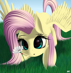 Size: 2370x2430 | Tagged: safe, artist:styroponyworks, fluttershy, ladybug, pegasus, pony, g4, cute, female, flower, grass, high res, looking at something, mare, shyabetes, solo, spread wings, wings