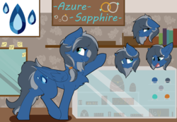 Size: 6848x4744 | Tagged: safe, artist:beardie, oc, oc only, oc:azure sapphire, pegasus, pony, absurd resolution, commission, female, mare, reference sheet, solo