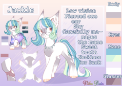 Size: 4000x2816 | Tagged: safe, artist:nika-rain, oc, oc only, oc:jackie, earth pony, pony, colored hooves, cute, female, glasses, mare, reference sheet, solo