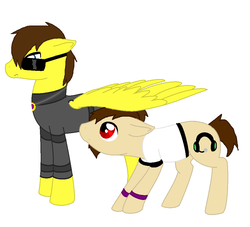 Size: 1001x907 | Tagged: safe, artist:askskydoesminecraft, oc, oc:deadlox, oc:sky (minecraft), pegasus, pony, deadlox, gay, male, mcyt, minecraft, non-mlp oc, non-mlp shipping, ponified, ponified oc, shipping, skydoesminecraft, skylox, sunglasses, team crafted, wing umbrella, youtube